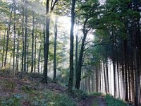 2. Tag Wanderung von Elleringhausen nach Willingen